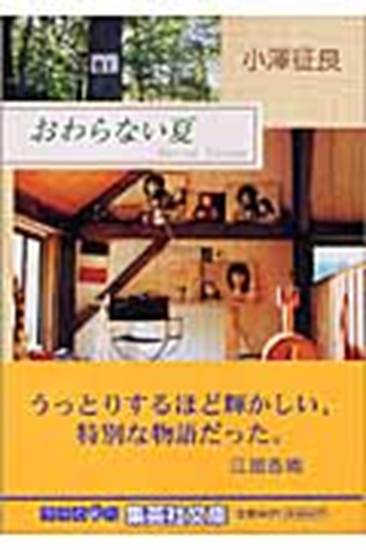 集英社文庫　小澤征良　おわらない夏 の画像