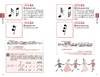 早引き　音楽記号・用語事典 の画像