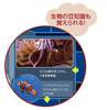 ２６１８　わくわくすいぞくかんすごろく の画像